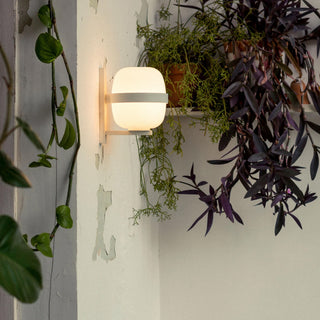 Santa Cole Wandlampe | Wally Cestita - Wandlampe - Santa Cole - Schwarz -