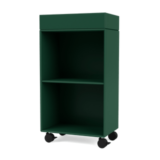 Preppy Wagen Selection - Bücherregal - Montana Furniture - Pine -