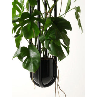 Blumenampel Hängevase - Vase - Atelier Haussmann - BLUMENAMPEL -