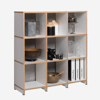 Mocoba Regal | Premium - Regal - Mocoba - Small -