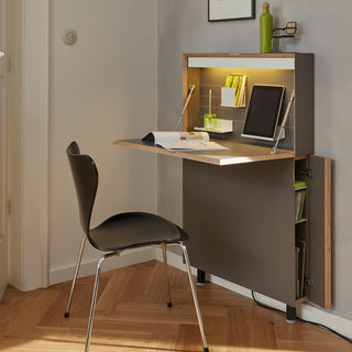 Flatmate Sekretär - Sekretaer - Müller Small Living - Anthrazit - ohne Blende