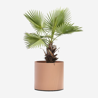 Todus Outdoor Topf | Verdi - Topf - Todus - V1: ∅ 50 x 45cm - Rust Brown