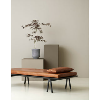 Woud Tagesbett | Level Tagesbett - Tagesbett - Woud - Cognac - Eiche - Schwarz